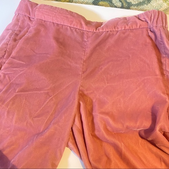 J. Crew Pink Velvet Pants - Picture 4 of 5